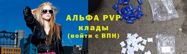 дмт Нягань