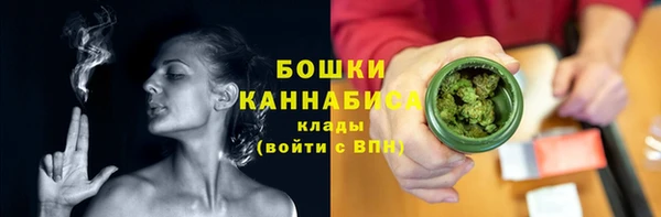 дмт Нягань