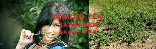 дмт Нягань