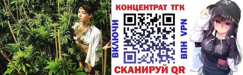 Купить где Стародуб ТГК концентрат