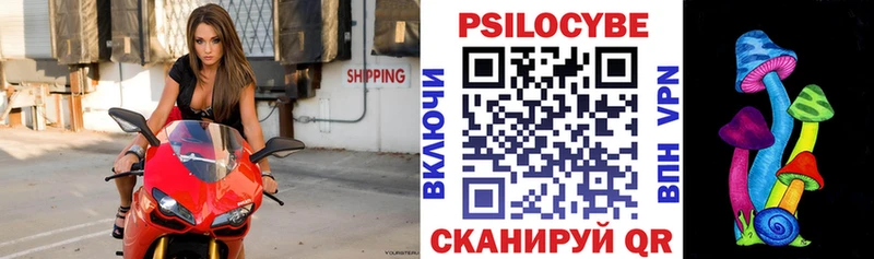 Галлюциногенные грибы мухоморы  Купить закладки  Стародуб 