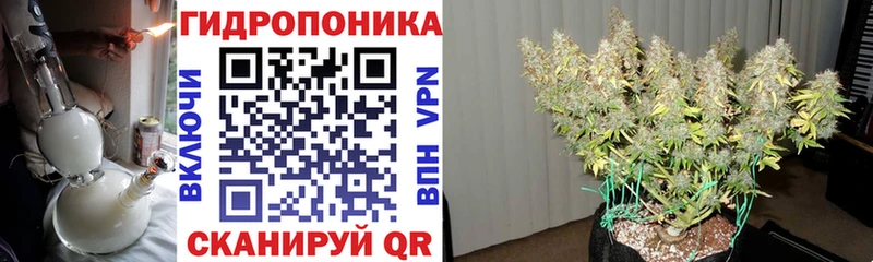 Купить  Стародуб  МАРИХУАНА индика 